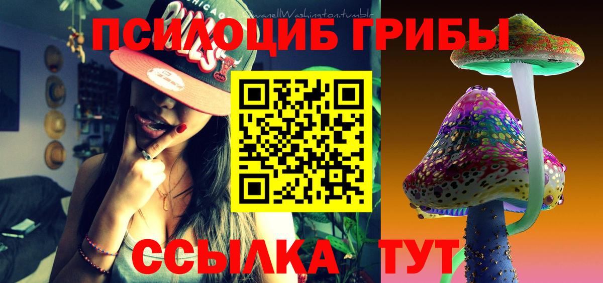 Галлюциногенные грибы Psilocybe  Вход с VPN  Коммунар 
